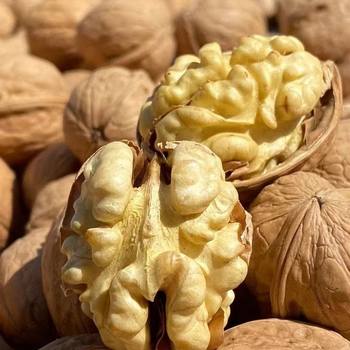 Wholesale of Xinjiang Paper-Skinned Walnuts 185 New Walnuts 500g, Hand-Popped Thin-Skinned Large Walnut Kernels