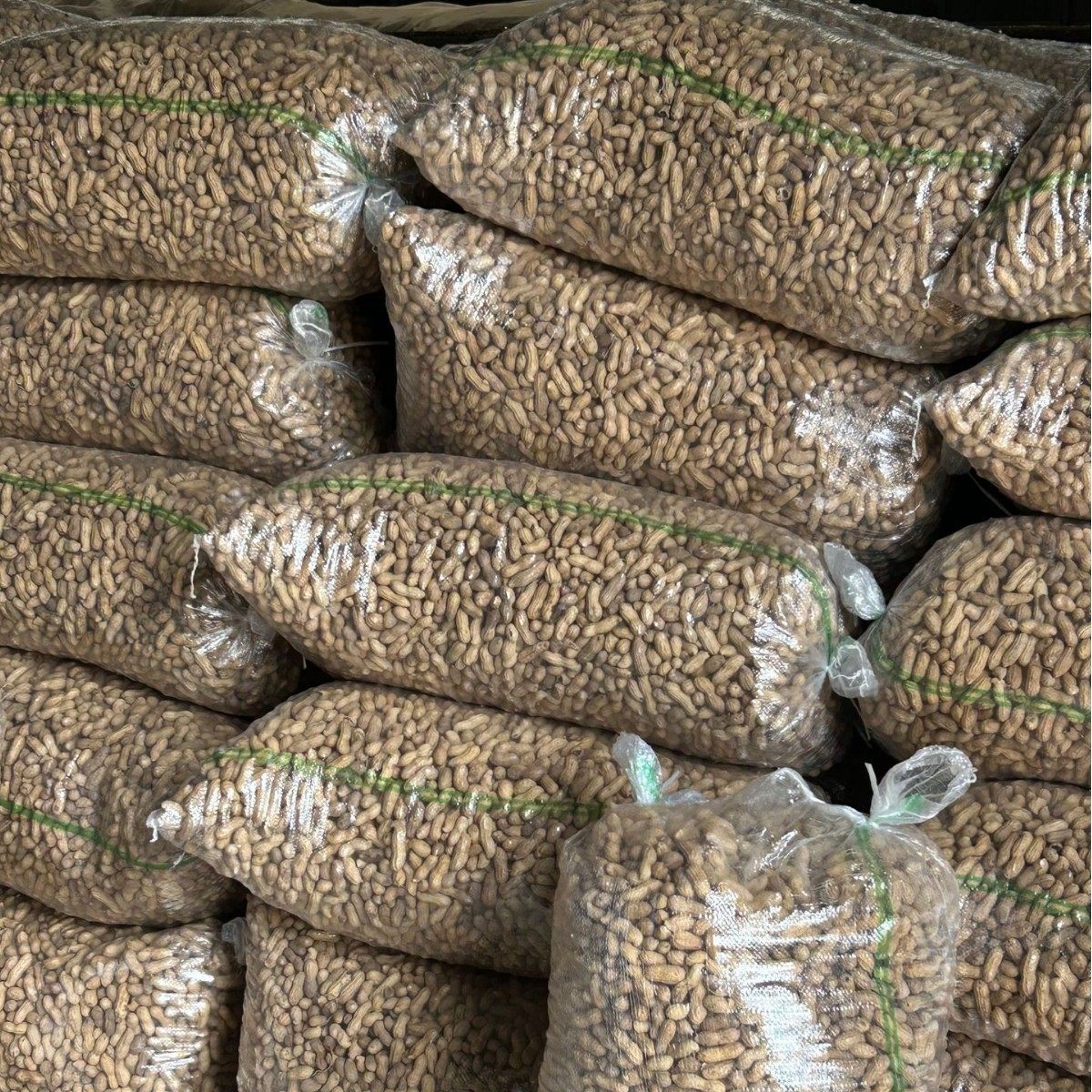 New Black Peanuts in Shell Wholesale Black Peanuts Five-Spice Wholesale Black Skin Peanuts Direct from the Source