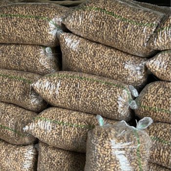 New Black Peanuts in Shell Wholesale Black Peanuts Five-Spice Wholesale Black Skin Peanuts Direct from the Source