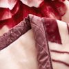 Factory wholesale double thick raschel blanket winter coral fleece wedding fleece blanket nap blanket gift quilt