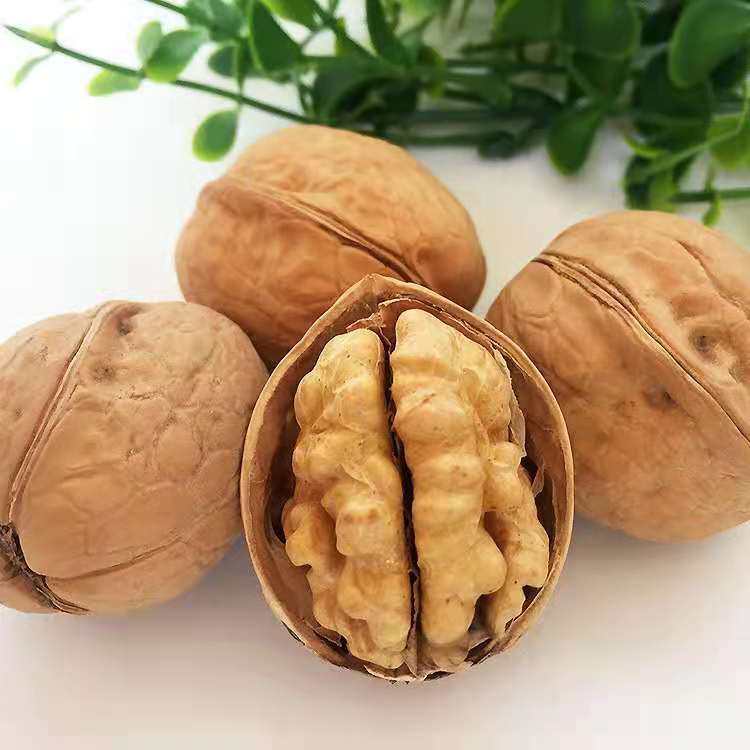 New products in the season Xinjiang thin skin 33 walnut Aksu specialty raw walnut nut raw materials in stock one-piece delivery