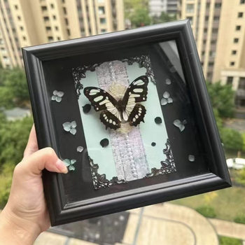 Hollow Insect Specimen Frame Wooden DIY Retro Display Stand 6inch 8inch A4 Creative Specimen Frame