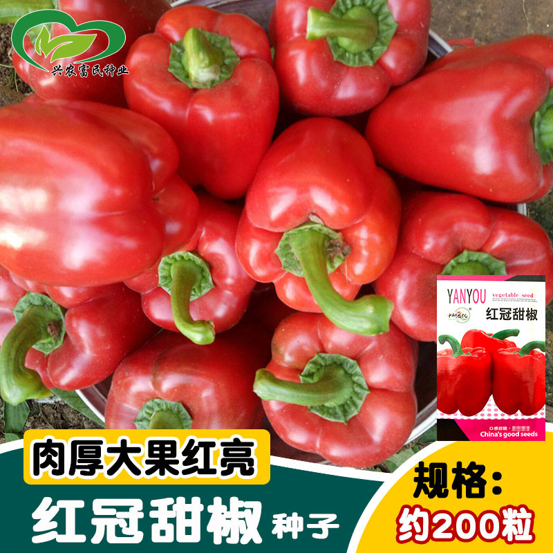 Семена сладкого перца Yanyou red crown, крупная кожура, густой зеленый перец, небесный перец, семена красного фонарного перца, огород, комнатные растения на ферме Изображение 1