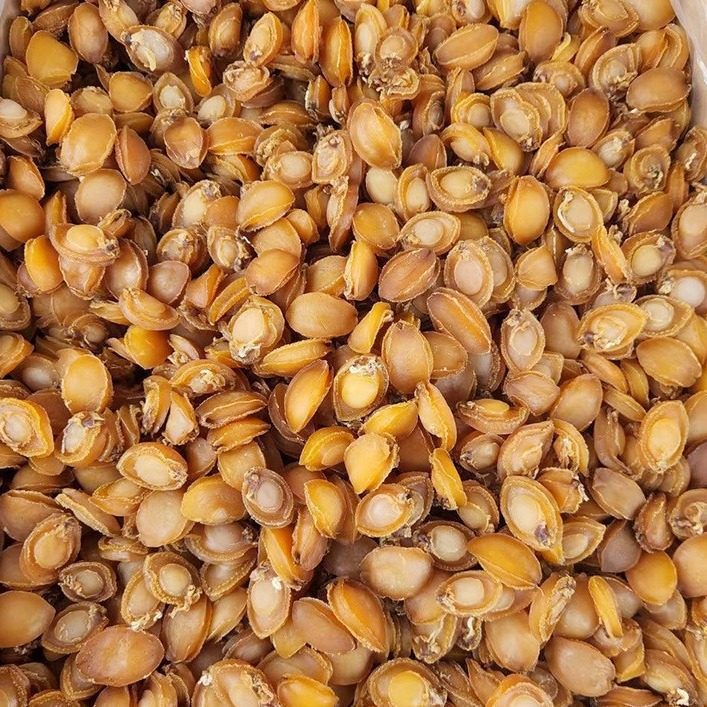 Abalone Dried Abalone Non-Ready-To-Eat Golden Abalone Seafood Dry Goods Hotel Ingredients Factory Wholesale Raw Materials Seafood Dry Goods