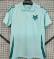 2526 cruzeiro polo light blue