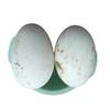 Farmhouse Goose Eggs, 6 Pieces, 80-100g, Fresh Eggs on the Day, Free-Range Goose Eggs, Great for Removing Toxins, Fresh for Pregnant Women