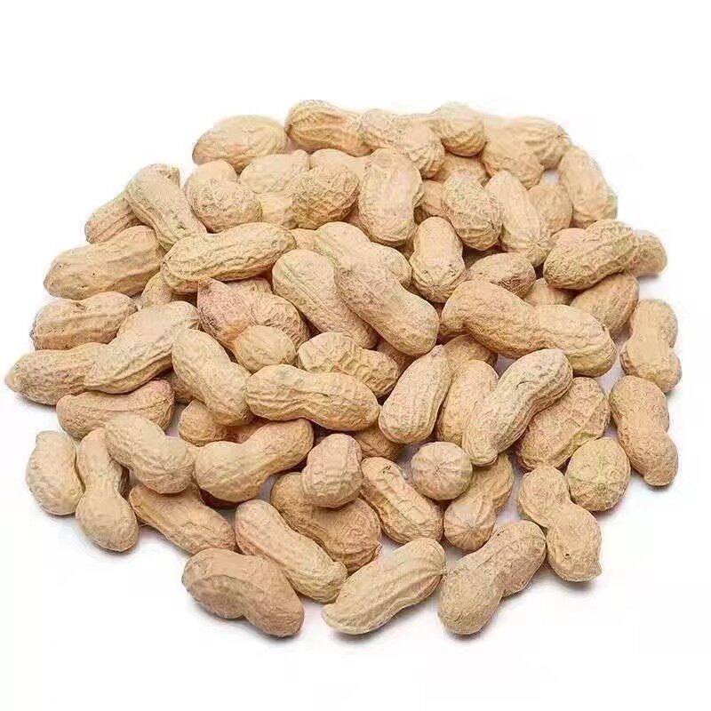 [Original Flavor New Peanuts] Original Flavor Roasted Peanuts Stir-Fried Peanuts in Iron Pan with Shells Raw Peanuts with Skin Stir-Fried Peanuts
