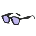 Regular (including 13% special ticket) black frame purple film