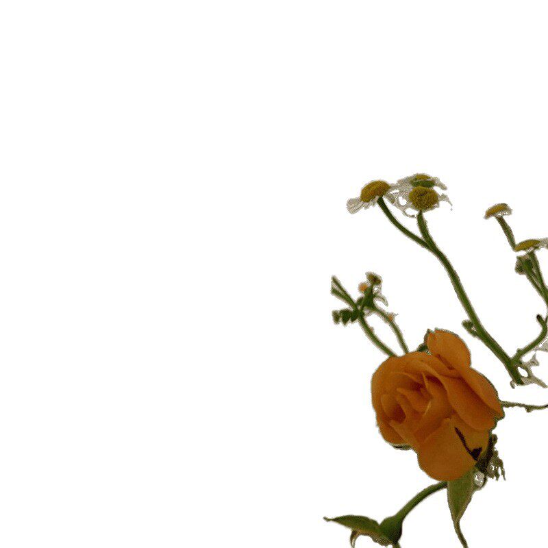 Korean Pastoral French Daisy Floral Cotton and Linen Curtain Fabric, Light-Transmitting but Not See-Through, No-Punch Magic Tape Short Curtain, Ginger Tea