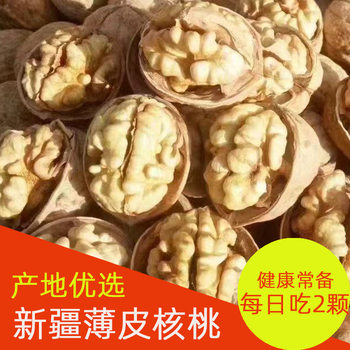 New Walnut Xinjiang Specialty Original Thin-Skinned Raw Walnuts Large Fruit for Pregnant Women 185 Paper-Skinned Walnuts Dried Fruits in Various Specifications