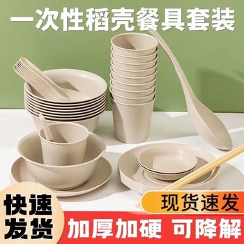 Ten-Person Rice Husk Disposable Tableware Set Biodegradable Food-Grade Household Dinner Party Wedding Banquet Bowls and Chopsticks Wholesale