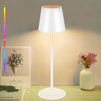 New reading table lamp touch bedside lamp RGB color atmosphere lamp bedroom night light can be timed usb charging