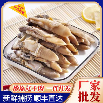 Fresh Razor Clam Meat, Live Razor Clam, Freshly Peeled Razor Clam King Meat, Shellfish, Spicy Razor Clam Meat, Semi-Finished Ingredients for Restaurants