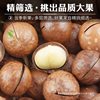 Macadamia Nuts Whole Box 2.5kg Bulk Creamy Pecans Original Raw Dried Fruit 5kg Wholesale Flagship Store