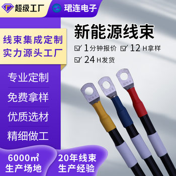 Manufacturer Customized New Energy Wire Harness Battery Energy Storage Wire Harness Charging Pile Connection Line Power Wire Harness