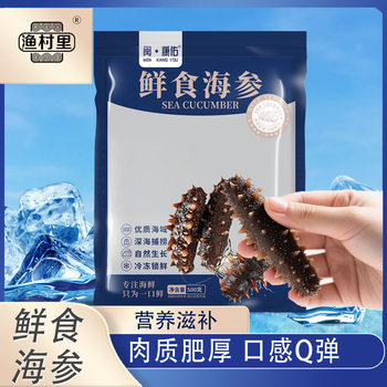 500g Sea Cucumber Fujian Fresh Sea Cucumber Wholesale Direct Supply from Xiapu 0.5kg Packs 500g Wholesale Sea Cucumber