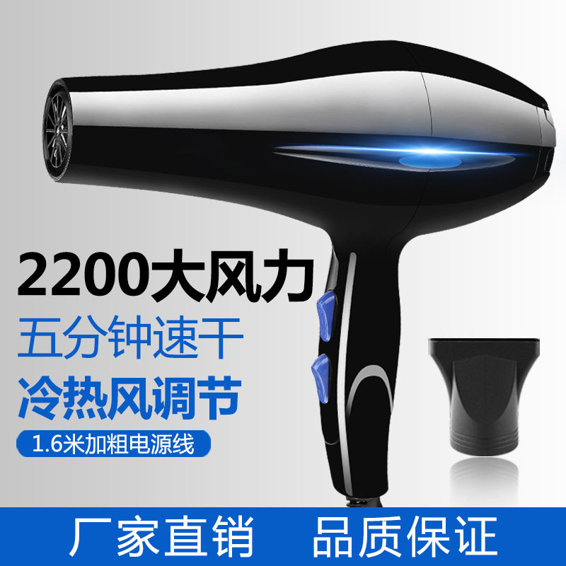 Deliya Hair Dryer Wholesale High-Power Household Appliances Hair Salon Hot and Cold Hair Dryer Foreign Trade Small Home Appliance Hair Dryer