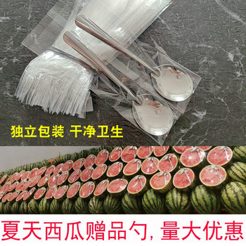 Watermelon Spoon Stainless Steel Small Spoon Disposable Gift Spoon Commercial Spoon Individually Packaged Takeaway Spoon Iron Spoon