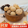 Xinjiang Original Flavor 185 Thin-Skinned Walnuts Specialty Crispy Walnuts Hand-Peeled Paper-Skin Snacks Nuts Wholesale Fragrant Crispy Bulk Pack