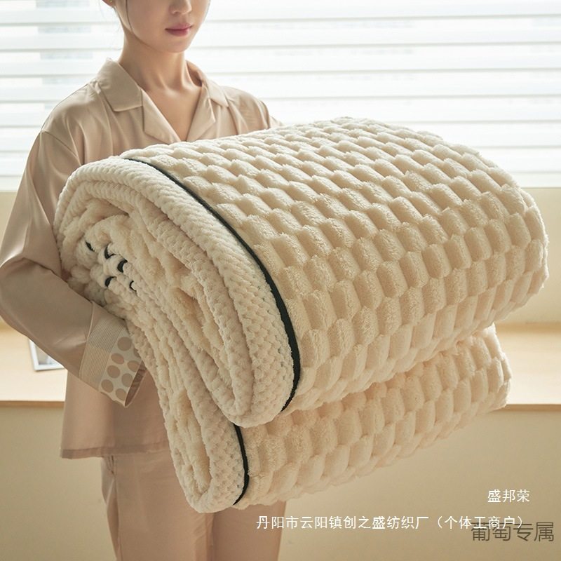 Nantong Direct Sales Cross-Border 2025 New Golden Turtle Velvet Multifunctional Blanket High Weight French Velvet Milk Velvet Blanket Double