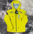 Y03 Brazilian yellow jacket