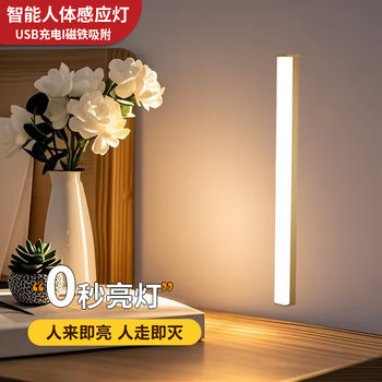 Multiple cross-border night light network red light human body induction lamp USB charging household cabinet wardrobe lamp wholesale