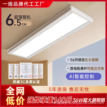 Comprehensive Large-Screen Intelligent Lifting Invisible Clothes Drying Rack Balcony Telescopic Household Double-Pole Embedded Electric Clothes Drying Rack