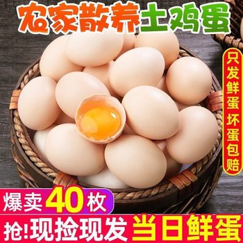 40 Pieces of Farm-Raised Free-Range Authentic Fresh and Healthy Mountain Forest Eggs Fed with Pure Grains for Pregnant Women and Postpartum Eggs 10 Pieces