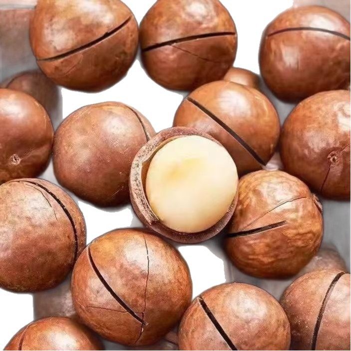 Macadamia Nut Milk, Creamy New Arrival, Healthy Pregnancy Dried Nuts, Largest Fruit Macadamia Nuts