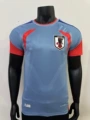 Player, 2627 japan away game