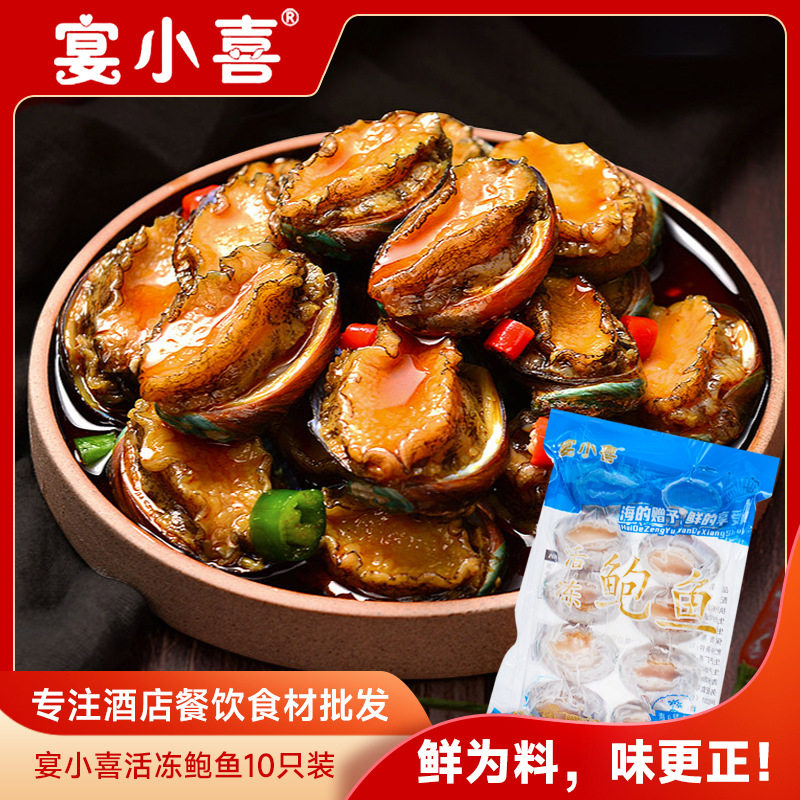 Fresh Live Frozen Abalone, Shrimp and Shellfish, Ready-To-Eat Frozen Abalone, Frozen Large and Small Abalone, Catering and Hotel Ingredient Supply