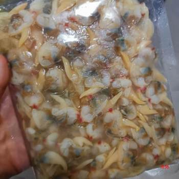 Dandong Donggang, Liaoning, Original Yellow Clam Meat, Large Sand-Free Clam Meat, Cooked Frozen Puree, Yellow Clam Meat, Cold Salad