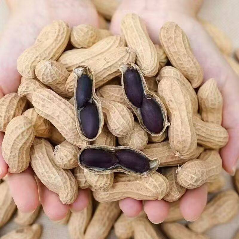 Black Peanuts from Yunnan, Large Shelled Particles, Selenium-Rich, Pu'Er Farm-Produced New Goods, Naturally Sun-Dried Black Peanuts