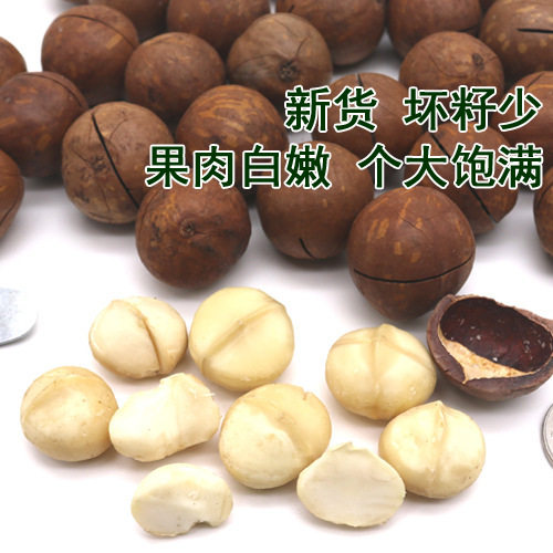 New Large Batch of 500g Macadamia Nuts in Bulk, Creamy Roasted Nuts Snack, Whole Box, Minimum Order of 2.5kg Pieces, Available All Year Round