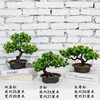 Artificial simulation fake pine tree welcome pine potted model room Exhibition Hall Hotel display green bonsai decorations potted plants