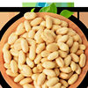 Longteng Fruit Industry Savory Peanuts Shandong Large Peanuts 500g Bagged Peeled Peanuts Snacks for Drinks and Appetizers
