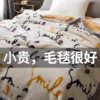 Raschel Blanket Winter Thickeneded Velvet Nap Blanket Bed Sheets Single Dormitory Student Coral Flannel Quilt