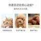 Jialang teddy shower gel antibacterial deodorant antipruritic mite lasting pet bath wholesale dog shampoo