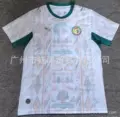 2627senegal home and away