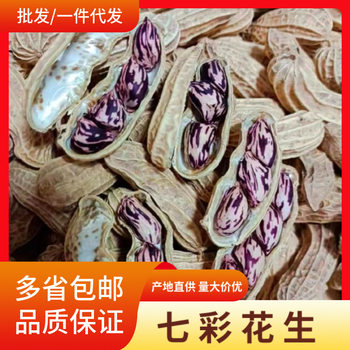 Yunnan Sun-Dried Original Shelled Peanuts Colorfulful Peanuts Nut Snacks Dry Goods Specialty Wholesale Cooked Optional