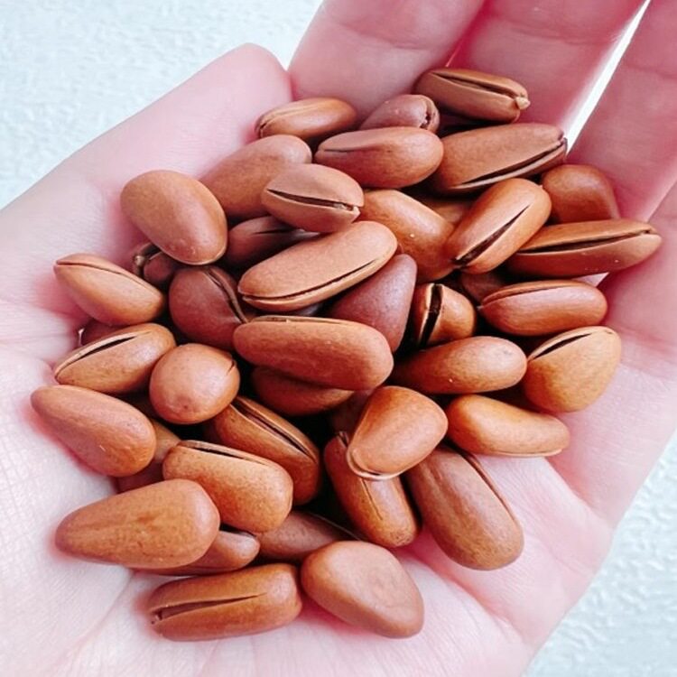 Northeast Open Red Pine Nuts New Arrival Hand-Peeled Snacks Dried Fruit Ready-To-Eat Internet-Famous Nuts Gift Pack Roasted Goods New Year Goods