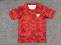 2026 poland away kit