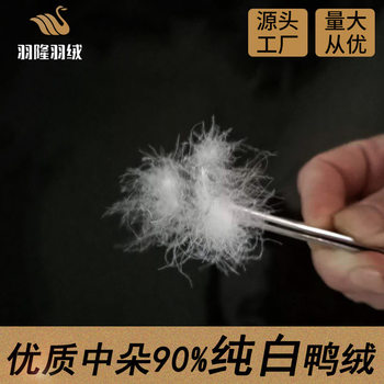 Down Factory Direct Sales 2021 New National Standard Washed 90 down Feather Wholesale Price Raw Material Source 90 White Duck down
