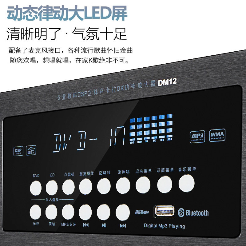 Wholesale 110V220 Voltage Bluetooth Amplifier Ktv Anti-Howling Heavy Bass Home Karaoke Amplifier Taiwan Europe and the United States