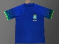 2022 Brazil World Cup Away