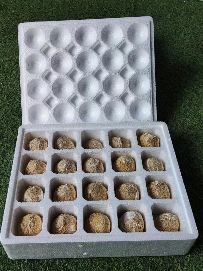 Egg Tray Plastic Foam Shock-Proof Express Packaging 30 Pieces Anti-Pressure Duck Egg Packaging Box Egg Tray Henan Boiled Egg Foam Tray