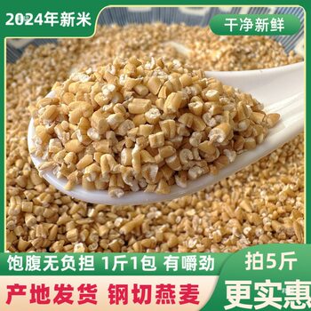 Steel-Cut Oats New Arrival Oatmeal Grains Oatmeal Rice Raw Oats Fitness Meal Replacement Freshly Cut Quick-Cook Knife-Cut Original Flavor Pack of 5