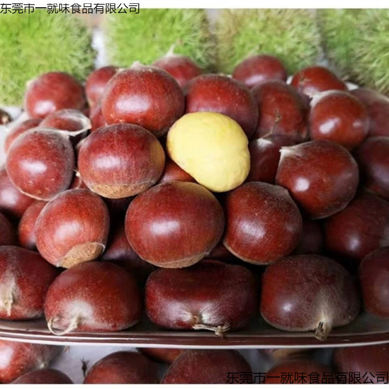 Fresh Dandong Chestnuts, Fresh Chestnuts, Tender Large Chestnuts, Wild Yanshan Chestnuts, Oil Cone Chestnuts