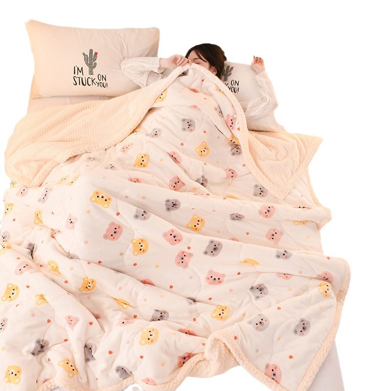 New Thickeneded Warm Milk Velvet Blanket Ab Style Small Fresh High Weight Beibei Velvet Blanket Lamb Velvet Blanket