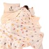 New Thickeneded Warm Milk Velvet Blanket Ab Style Small Fresh High Weight Beibei Velvet Blanket Lamb Velvet Blanket